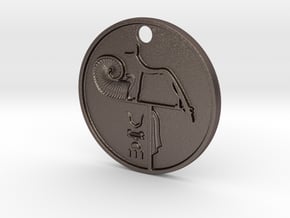 'Merenptah' Wepwawet Coin w/hole  in Polished Bronzed Silver Steel