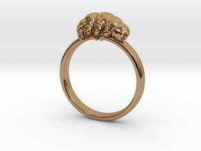 Tardigrade ring in Polished Brass