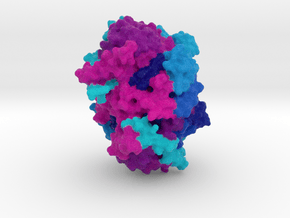 Reductive Dehalogenase in Full Color Sandstone