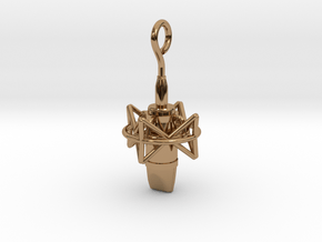Pro Studio Microphone Pendant in Polished Brass