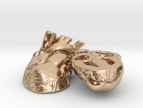 "Elizabeth Earrings" Anatomically-Accurate Heart E in 14k Gold Plated Brass