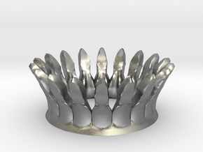 Eggcessories! Crown in Natural Silver