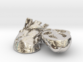 "Elizabeth Earrings" Anatomically-Accurate Heart E in Platinum