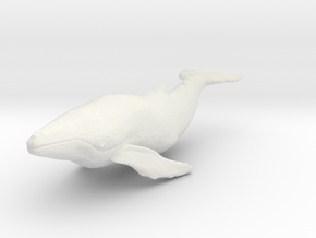 S Scale whale in White Natural Versatile Plastic