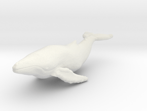N Scale whale in White Natural Versatile Plastic