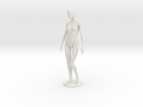 Female form robotic anatomy 20cm in White Natural Versatile Plastic