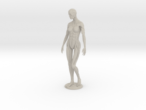 Female form robotic anatomy 20cm in Natural Sandstone