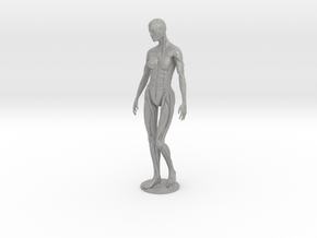 Female form robotic anatomy 20cm in Aluminum