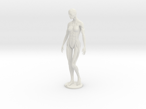 Female form robotic anatomy 12cm in White Natural Versatile Plastic
