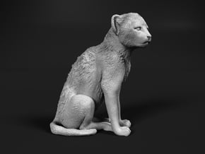Cheetah 1:9 Sitting Cub in White Natural Versatile Plastic