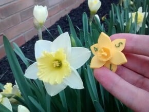 Daffodil D6 in Yellow Processed Versatile Plastic