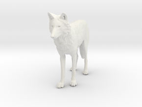 North American Gray Wolf - Small in White Natural Versatile Plastic