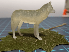 North American Gray Wolf - Small in Tan Fine Detail Plastic