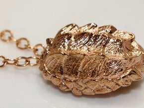 Alligator Snapping Turtle Shell in Polished Brass