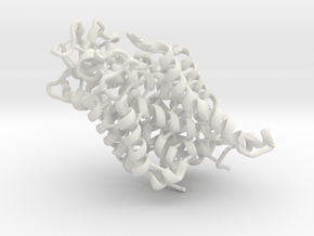 Dopamine Transporter Protein (DTP) in White Natural Versatile Plastic