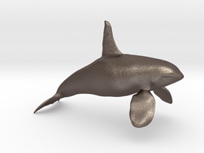 Orca-male-solid in Polished Bronzed Silver Steel: 6mm