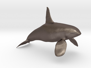 Orca-Male-Hollow in Polished Bronzed Silver Steel: Extra Small