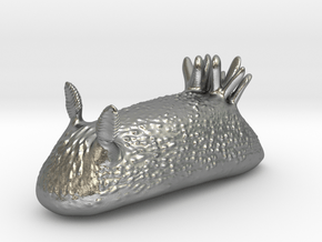 Unna the Nudibranch (Sea Bunny) in Natural Silver: Small