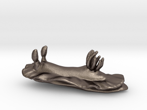 Joshi the Nudibranch in Polished Bronzed Silver Steel: Small