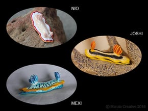 Joshi the Nudibranch in White Processed Versatile Plastic: Medium