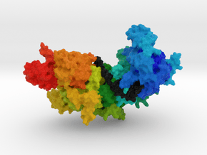 RecA bound to DNA in Full Color Sandstone