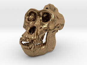 Gorilla Skull in Natural Brass