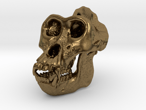 Gorilla Skull in Natural Bronze