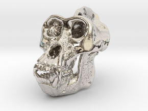 Gorilla Skull in Rhodium Plated Brass