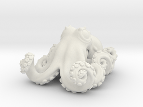 Deep sea octopus (Graneledone boreopacifica) in White Natural Versatile Plastic: Small