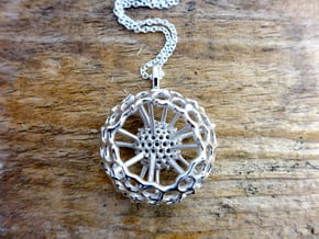 Spumellaria spineless Radiolarian - Science Jewelr in Polished Silver