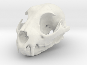 Bobcat Skull - Closed Jaw Ornament  in White Natural Versatile Plastic