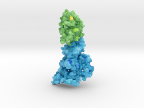 Angiopoietin-2/Tie2 Complex in Glossy Full Color Sandstone: Small