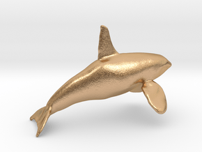 Orca Bull Male N scale in Natural Bronze