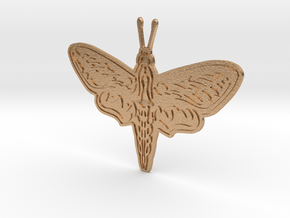 Pretty Moth in Natural Bronze