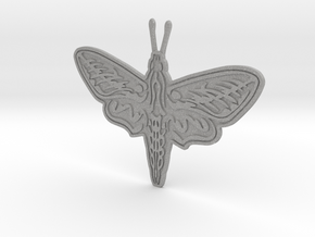 Pretty Moth in Aluminum