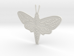 Pretty Moth in White Natural Versatile Plastic