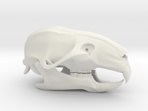 Mouse Rat Skull 3D Printed Model in White Natural Versatile Plastic
