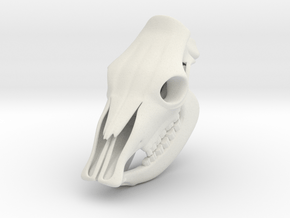 Cow Skull 3D Printed Model in White Natural Versatile Plastic