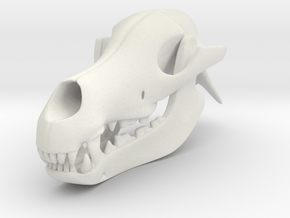 3D Printed Dog Skull in White Natural Versatile Plastic