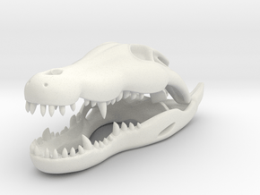 Crocodile skull in White Natural Versatile Plastic
