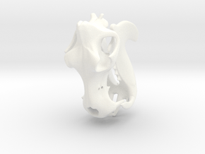 Hippo River Horse Skull in White Processed Versatile Plastic