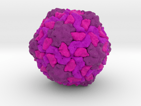 Tobacco Necrosis Virus in Natural Full Color Sandstone