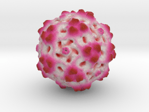 Bufavirus in Natural Full Color Sandstone