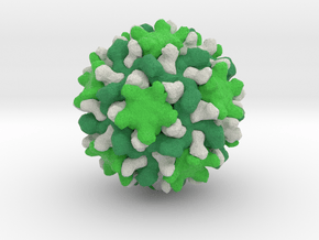 Cucumber Necrosis Virus in Natural Full Color Sandstone