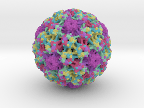 Human Papillomavirus in Full Color Sandstone