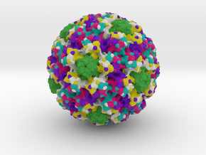 Bovine Papillomavirus in Full Color Sandstone