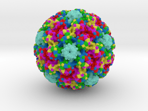 Human Papillomavirus (HPV) in Full Color Sandstone