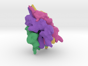 Short Transient Receptor Potential Channel 6 in Natural Full Color Sandstone