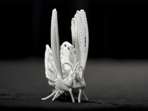 Moth Standing in White Natural Versatile Plastic