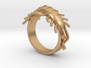 Millipede Ring 17mm in Natural Bronze